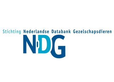 NDG